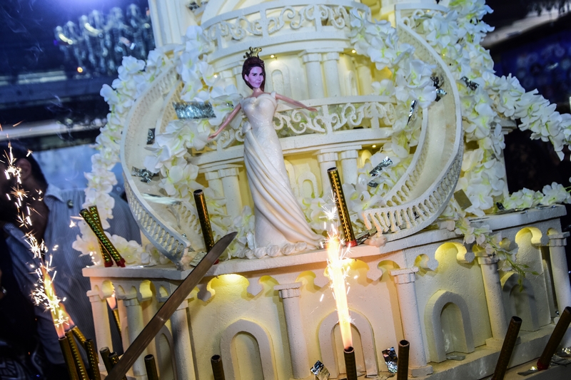 Mireille Hayek's Birthday Party